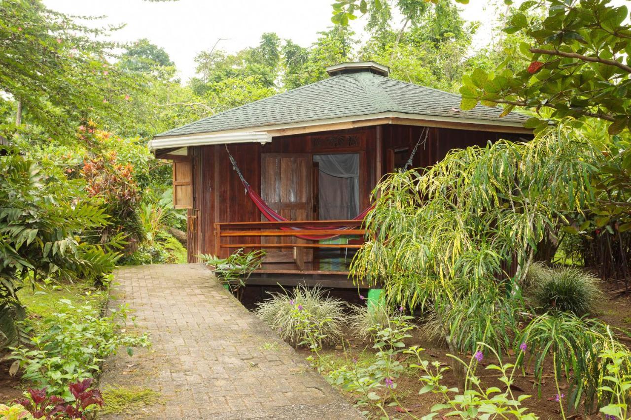 Bungalows Ache Cahuita Exterior foto